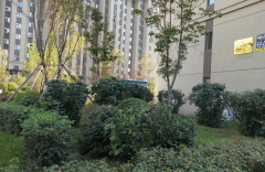  河南郑州 北院军干六所