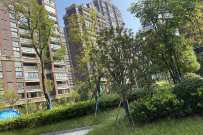 青海西宁金叶阳光小区 （888可视7寸260户）