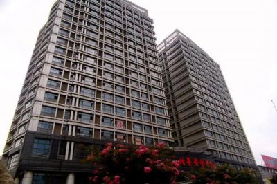 新疆和田墨玉县的幸福大厦（240户非可视）