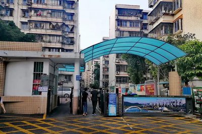四川省德阳市力创.天籁福小区580户名科模拟云对讲人脸识别系统